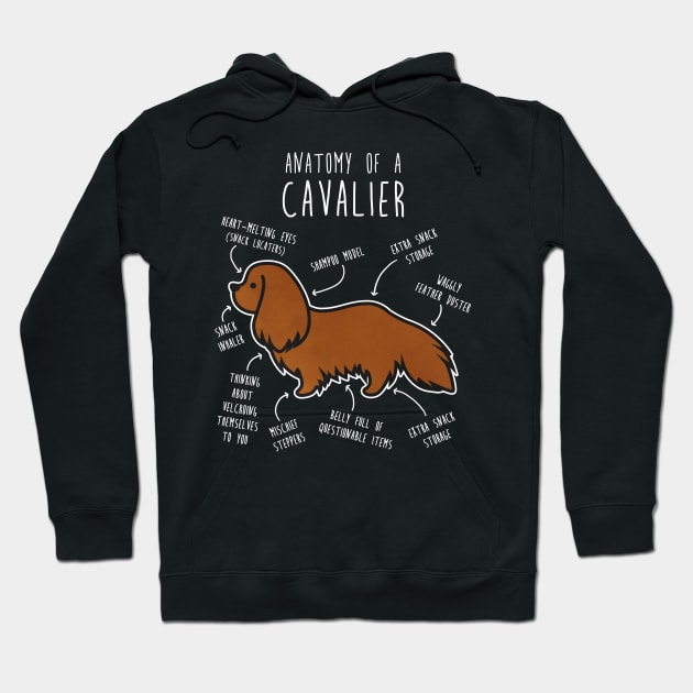 Ruby Cavalier King Charles Spaniel Dog Anatomy Hoodie by Psitta